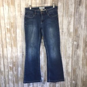 Maurices Molli Flare Jeans